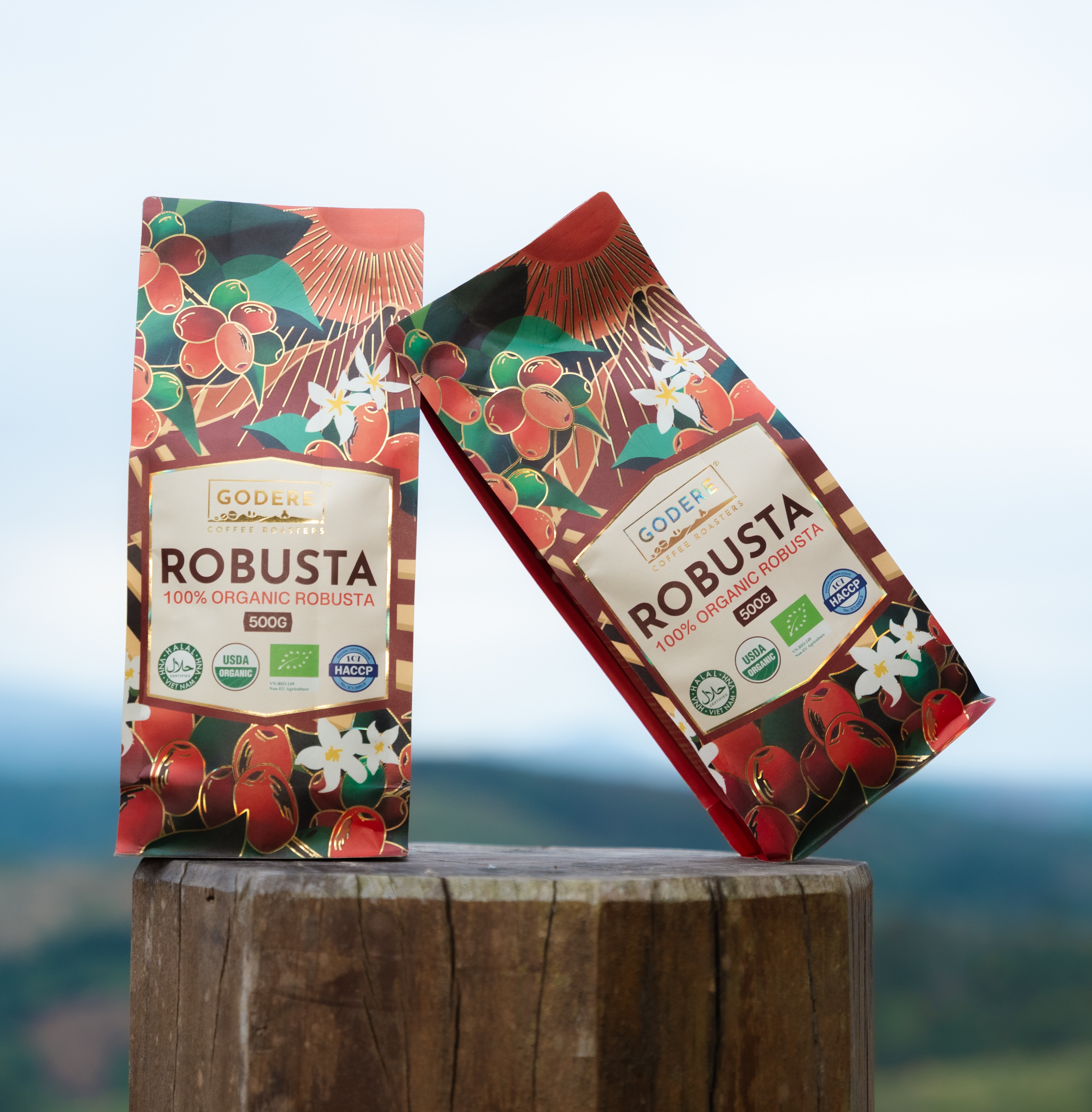 Cà phê Robusta hữu cơ đặc biệt - Special Coffee