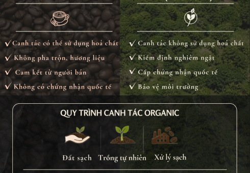 Cà phê “Sạch” và Cà phê “Organic” – Khác nhau ở đâu?
