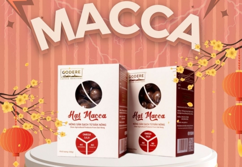 Hạt Macca Godere - Đắk Nông